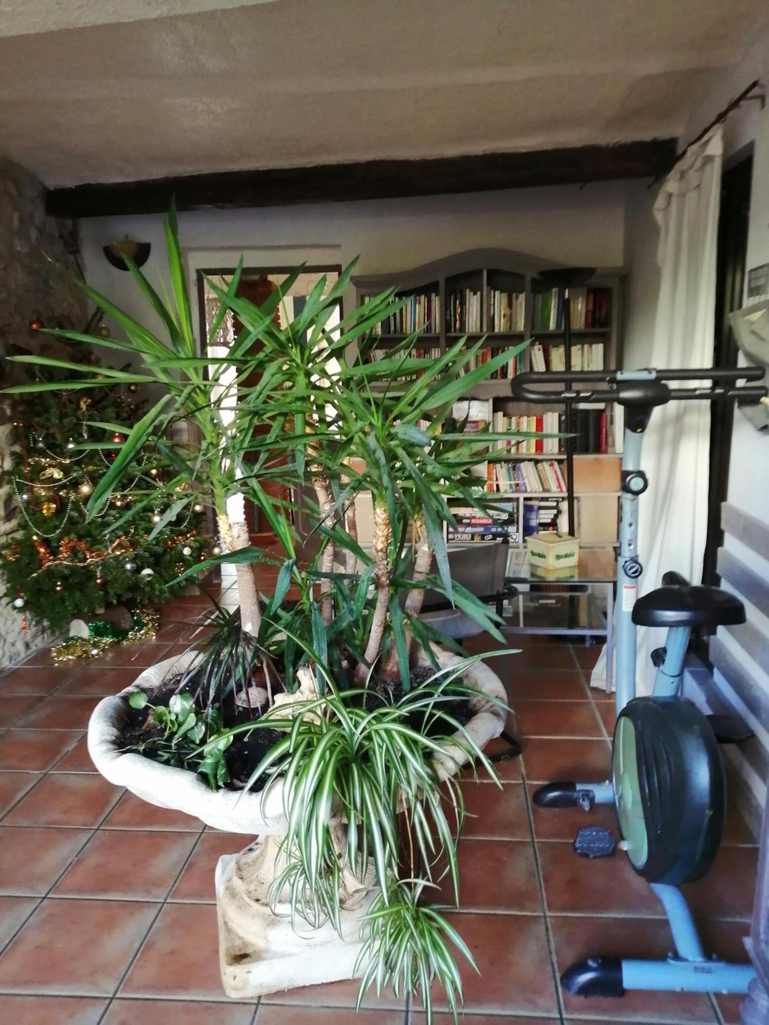 Belle Maison De Caractere Dans Village Et Sa Piscine Privee 7 Pers- 3 Chambres - 12 Rue Emile Zola Millas Eksteriør billede